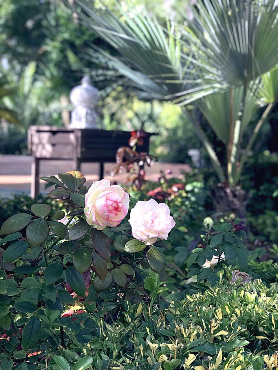 Villa Marrone - Relais - มาร์ซาลา ภายนอก รูปภาพ