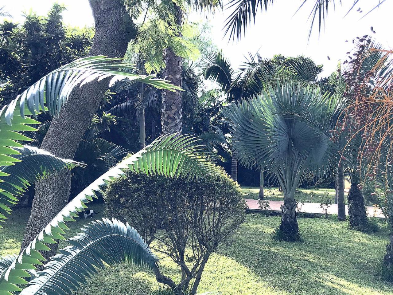 Villa Marrone - Relais - มาร์ซาลา ภายนอก รูปภาพ